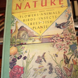 May include: A hardcover book titled A PICTURE BOOK OF NATURE by Samuel Nisenson. The cover features a yellow triangle with text listing flowers, animals, birds, insects, trees, fish, and plants, surrounded by illustrations of wildlife.