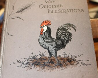 Ouvrage ancien de 1895, *L'élevage rentable de volailles* par Stephen Beale, volaille, élevage de poulets, instruction à domicile, agriculture, première édition