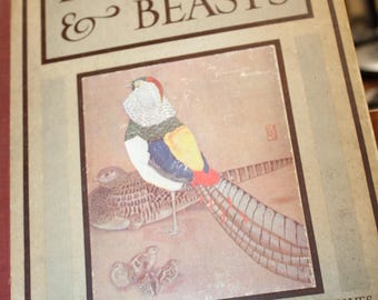 Ouvrage ancien, 1915, « Les bébés oiseaux et les petites bêtes » de Pauline Clarke, Comment leurs pères et leurs mères les élèvent, enfants et animaux, première édition