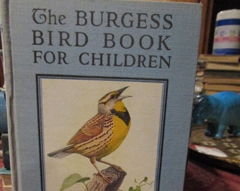 Burgess Bird Book Etsy
