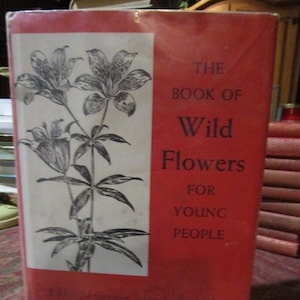Vintage 1955, The Book of Wild Flowers for Young People, by F. Schuyler Mathews
