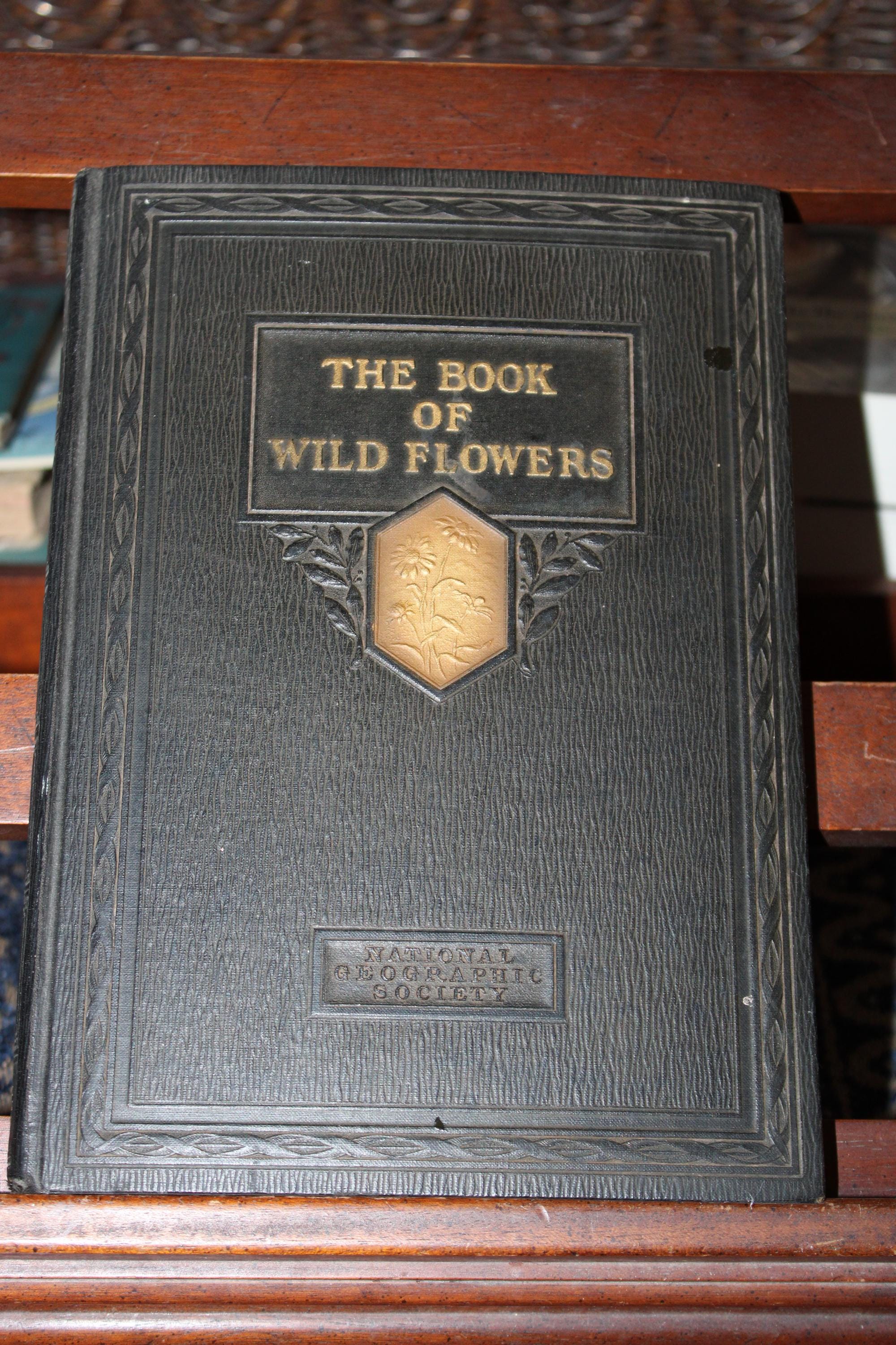 1924年 米国 人気 野生植物 図鑑 Antique, 1924, the Book of Wild Flowers by National Geographic