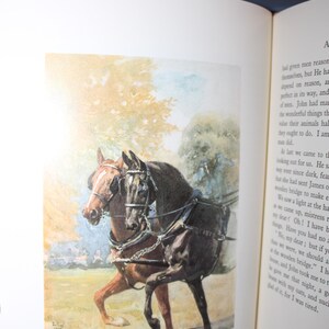 K&ouml;nnte beinhalten: Aquarellillustration von zwei Pferden im Geschirr, vor einem verschwommenen Hintergrund aus B&auml;umen und Himmel. Die Pferde sind braun und schwarz, mit detaillierten Geschirren. Text unten: "In Double Harness (Seite 20)."