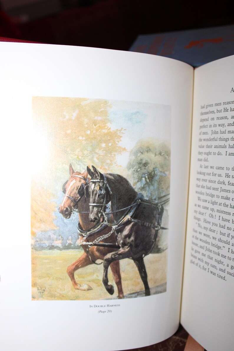 K&ouml;nnte beinhalten: Aquarellillustration von zwei Pferden im Geschirr, vor einem verschwommenen Hintergrund aus B&auml;umen und Himmel. Die Pferde sind braun und schwarz, mit detaillierten Geschirren. Text unten: "In Double Harness (Seite 20)."