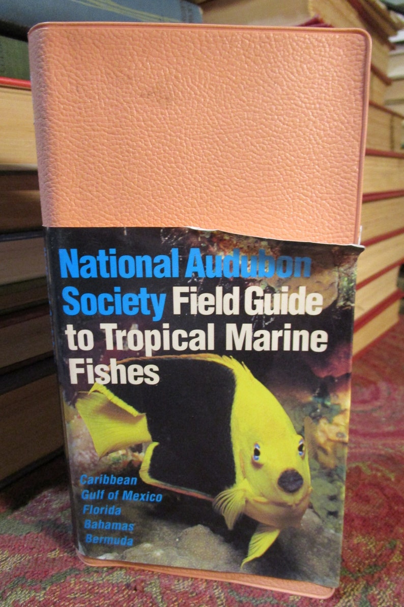 Field Guide to Whales, Dolphins and Porpoises (Bloomsbury