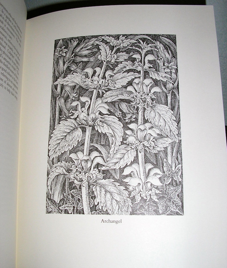 Vintage, First Edition, limited edition 834 of 1500, 1982, Woodland Plants, Tanner, HC with DJ and box, excellent condition image 5