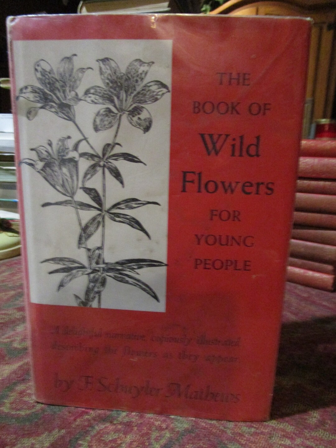 Vintage 1955, the Book of Wild Flowers for Young People, by F. Schuyler