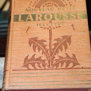 May include: A vintage orange book with the title "Nouveau Petit Larousse Illustre" in gold lettering. The cover features a stylized illustration of a plant with a sunburst design above it.