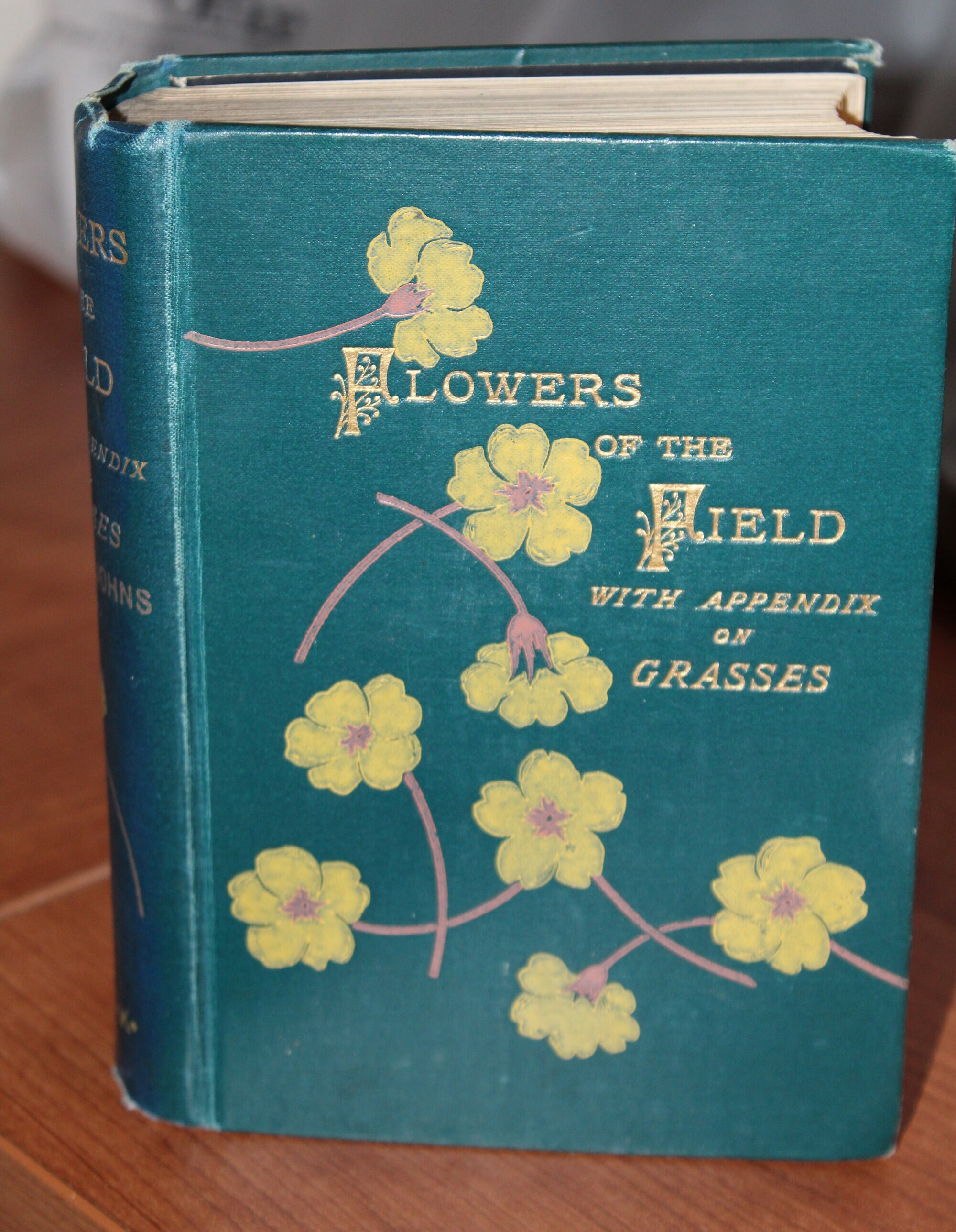 Antique, 1894, Flowers of the Field With Appendix on Grasses Antique, 1894, Flowers of the Field With Appendix on Grasses