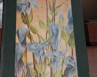 Antique, 1922, Little Nature Library, Wild Flowers Worth Knowing by Neltje Blanchan.  Collectible flower reference, garden reference