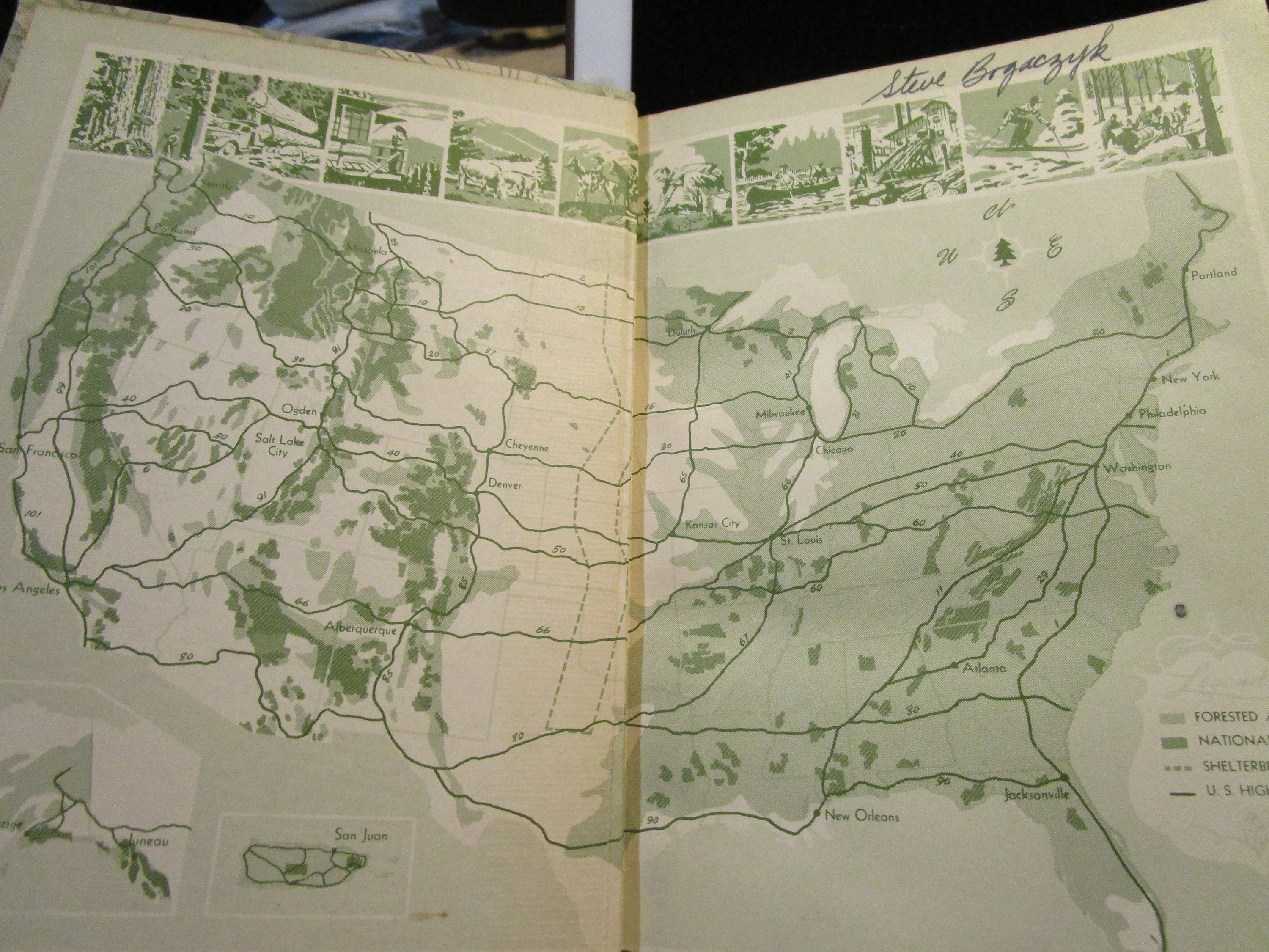 Vintage, 1949, Trees, the Yearbook of Agriculture, US Dept of