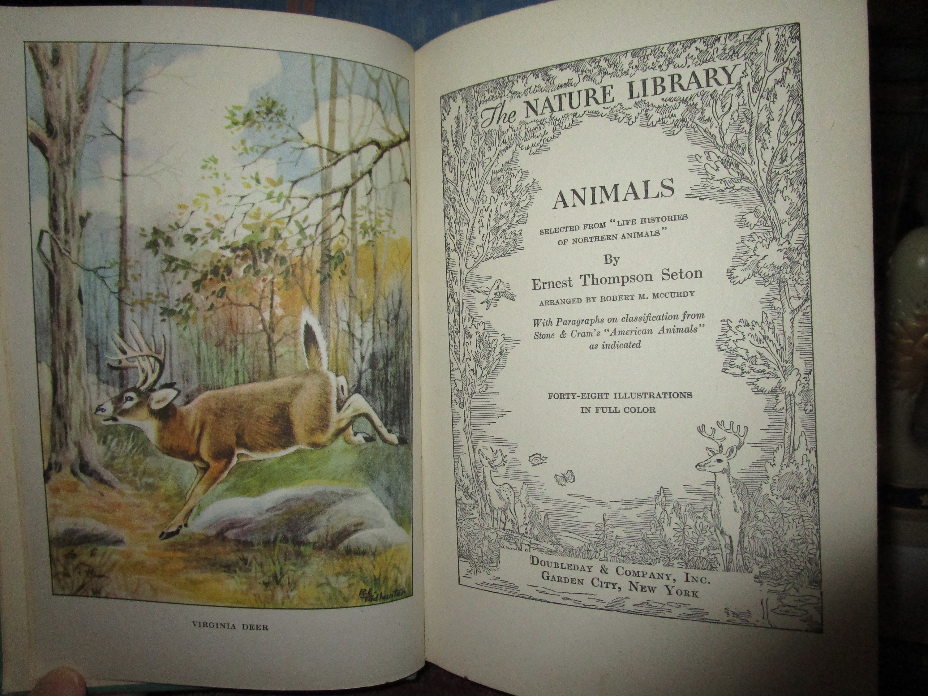 Antique the Nature Library Animals Seton Animal Reference - Etsy India Antique the Nature Library Animals Seton Animal Reference - Etsy India