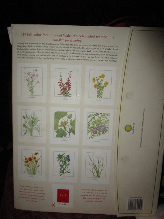 Vintage, Smithsonian, Wild Flowers of North America, Mary Vaux