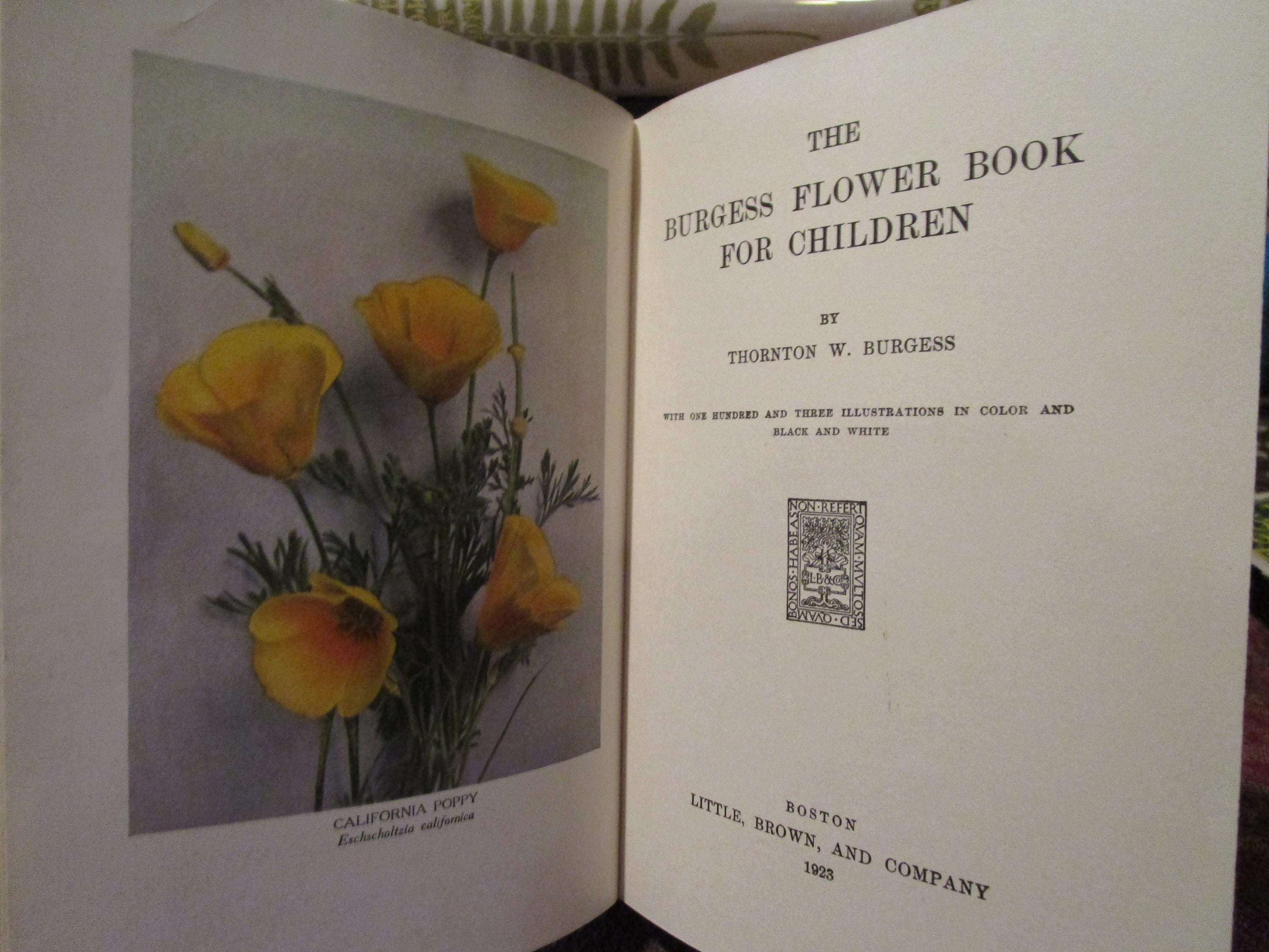 Antique, 1923, Burgess Flower Book for Children, First Edition, Second
