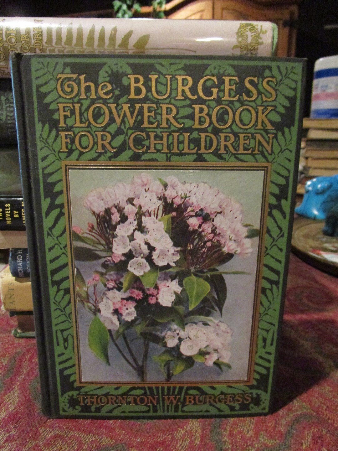 Antique, 1923, Burgess Flower Book for Children, First Edition, Second