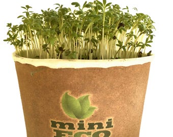 MiniEco Garden Cress Microgreens-kweekset. 4000 kiemzaden inbegrepen. Je kunt nu aan een gezond leven beginnen!