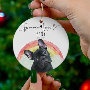 French Bulldog Rainbow Bridge Pet Loss Memorial Ornament - Dog Loss Sympathy Gift - Pet Memorial Gift - Custom Photo Pet Ornament
