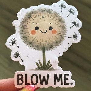Blow Me Vinyl Sticker - funny stickers - vinyl sticker for car, water bottle or computer