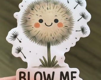 Blow Me Vinyl Sticker: Funny Car, Laptop, Water Bottle Decal