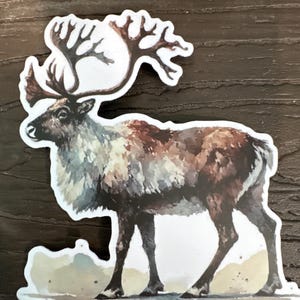 Caribou Vinyl Sticker