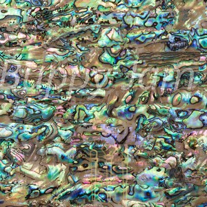 Abalone Real Shell Sheet Natural - HM012  - 240mm x 140mm x Thickness 0.35mm