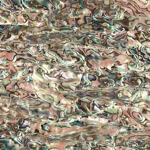 Abalone pearl 240mm x 140mm real shell sheet - HM040