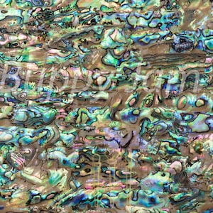 Flexible laser cut Abalone shell, Sign Making, Jewellery Crafting, Self-Adhesive, Laser Cut For Easy Application & Interiors. HMF012