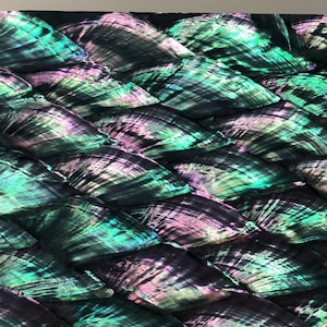 May include: A sheet of iridescent abalone shell with a black, green, and purple color scheme. The shell is arranged in a repeating pattern of overlapping scales.