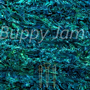 May include: A close-up of a blue and green iridescent abalone shell with a swirling pattern. The shell has a smooth, glossy surface.