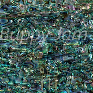 May include: Close-up of an iridescent abalone shell, showing a mosaic of blues, greens, and purples. The surface has a textured, layered appearance, with a natural, organic feel. The text "© Buzzy Jam Ltd" is visible in the upper left.