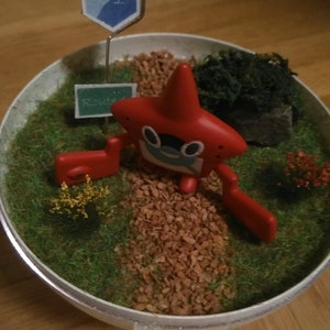 May include: A red and white star-shaped Pokemon figurine with a green sign that says "Route" in front of it. The figurine is standing on a bed of brown gravel and green moss in a white bowl. There is a blue and red flag with the number "01" on it in the background.