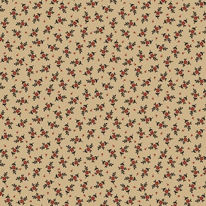 Butternuss und Pfefferkorn II von PAM Buda für z.B. Nylon Stoff, 100 Prozent hochwertiger Premium Baumwoll-Quiltstoff, R170749 Beige