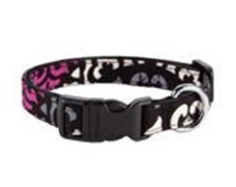 vera bradley dog harness
