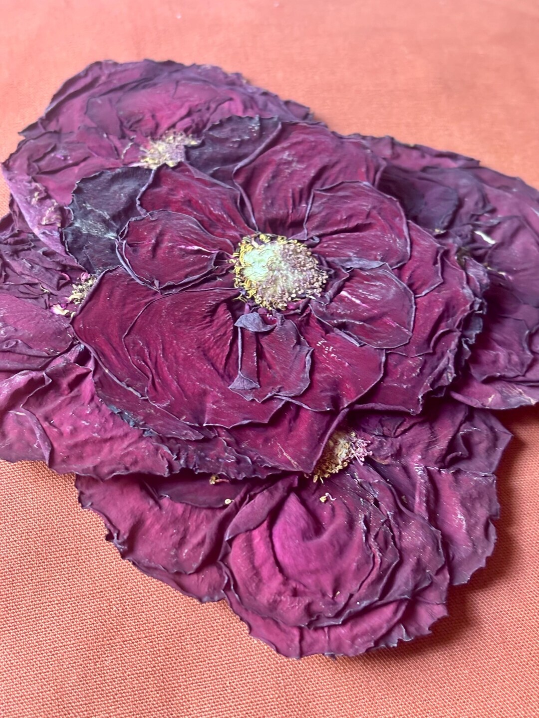 Shredded Roses Large Dried and Pressed Red Roses - Etsy