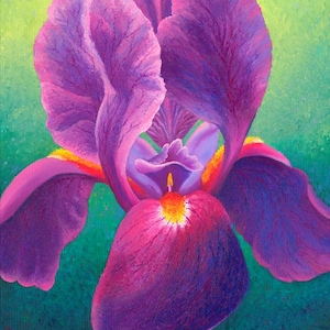 May include: A vibrant purple iris flower with yellow and orange accents in the center. The flower is painted in a realistic style with visible brushstrokes.