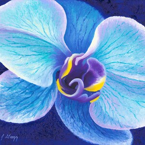 Print - Blue Orchid Flower Art, Midnight Blue Original Art, Finger Painting Flower Print, Textured  Flower Art, Beautiful Orchid Art