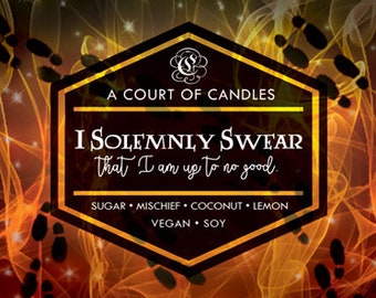 I Solemnly Swear - 9oz Soy Wax Candle