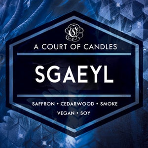 Sgaeyl - Soy Candle - Fourth Wing