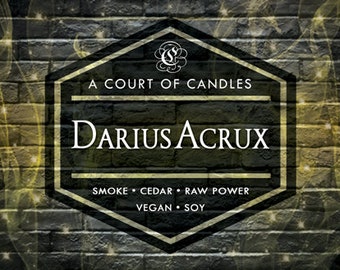 Darius Acrux - Zodiac Academy Series - 9oz Soy Candle