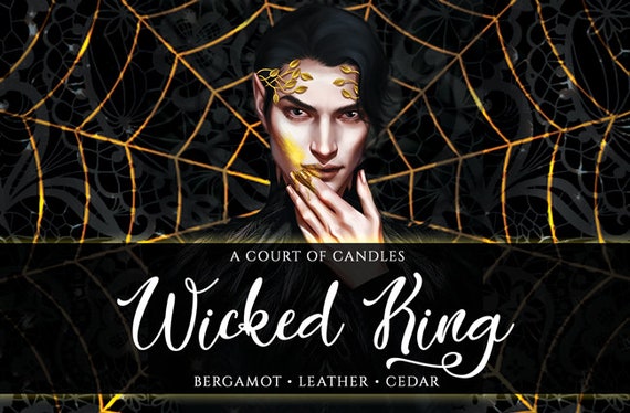 Get Book The wicked king For Free