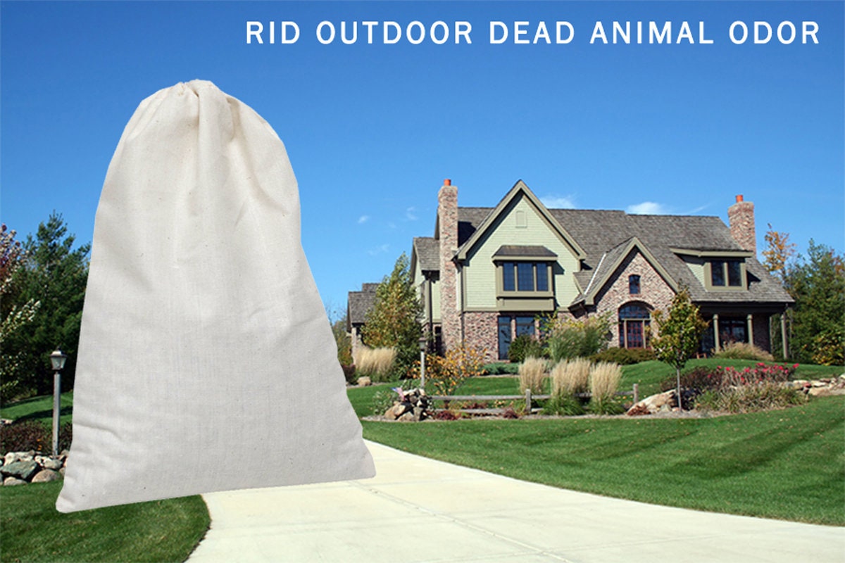 SMELLEZE Reusable Dead Animal Smell Eliminator Deodorizer Etsy