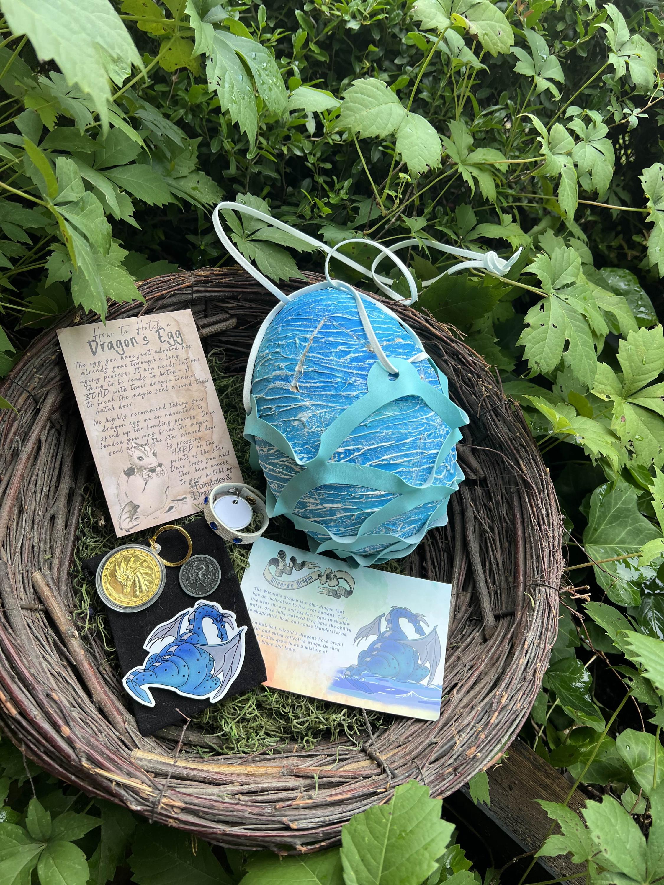 Wizard's Bundle! Hatchable Dragon Egg, Treasure, Collar, and Carrier