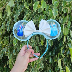 Light up Cinderella ears