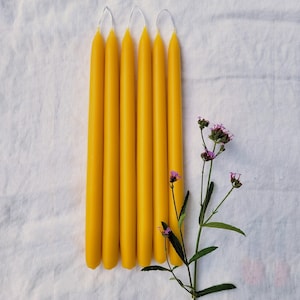 10&quot; beeswax candles | 2-PACK | hand dipped | 100% pure yellow beeswax |  unscented  | natural  |  cotton wick  | taper candles |