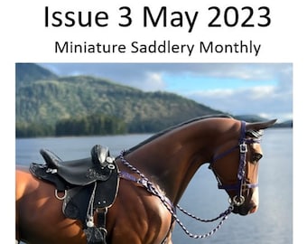 Puede incluir: Un caballo miniatura marrón con una brida morada y blanca y una silla de montar negra. El caballo está de pie en una zona cubierta de hierba cerca de un lago. La imagen tiene el título "How to Make An Endurance Saddle Issue 3 May 2023 Miniature Saddlery Monthly".