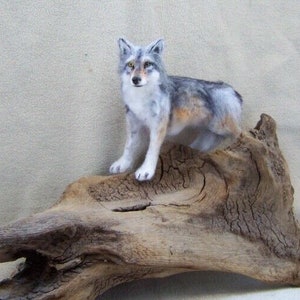 May include: A needle felted grey and brown wolf figurine standing on a piece of driftwood.