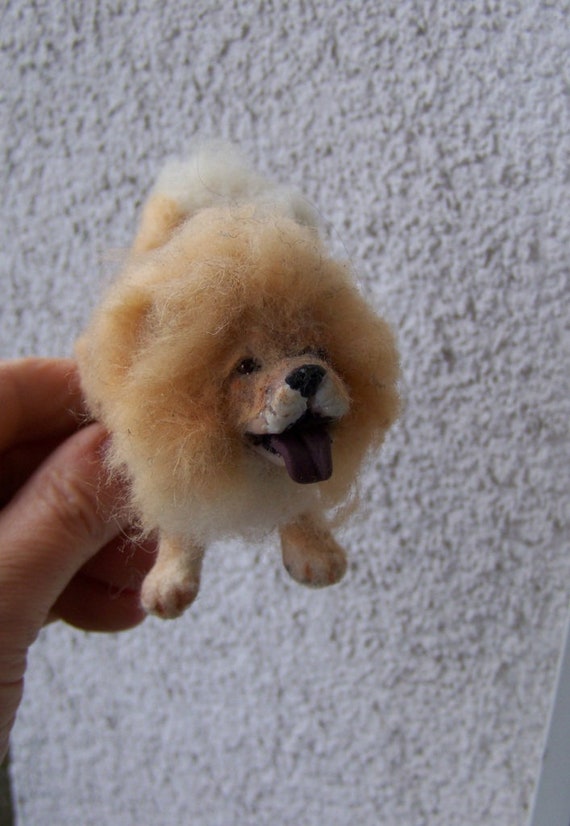 Toy chow chow sales