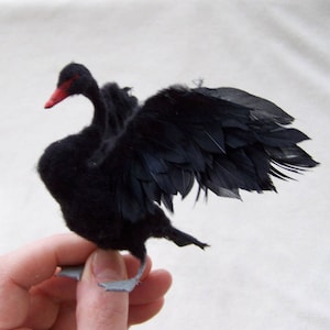 Made to Order Ooak Miniature Dollhouse Black Swan with open wings - by Malga