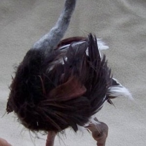Made to order ooak Miniature Dollhouse ostrich bird by Malga