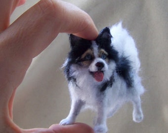 Reservado para Shannon Miniature Dollhouse Pomsky dog de Malga